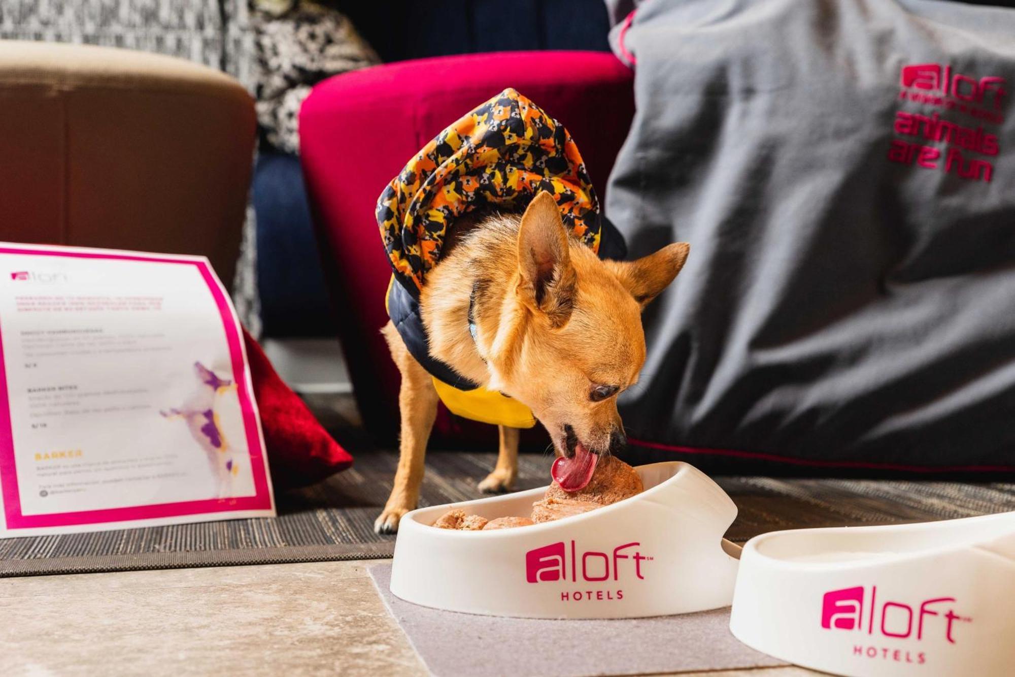 Aloft Lima Miraflores Eksteriør bilde